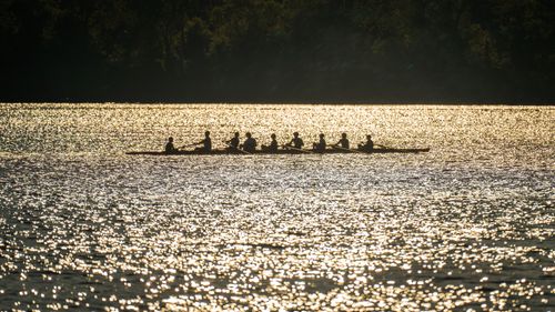 Free Silhouetted team rowing on a shimmering river at sunset, showcasing coordination and sport. Stock Photo