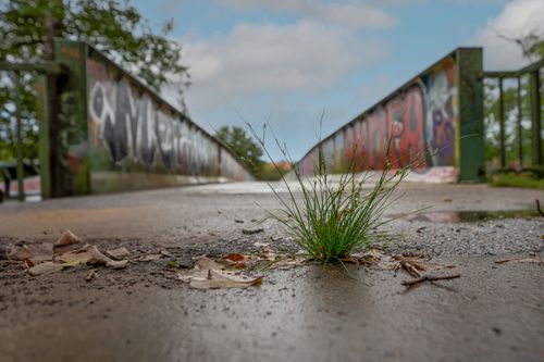 Free graffiti bridge Stock Photo