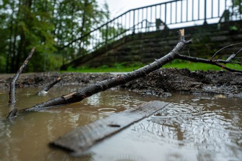 Free puddle bridge Stock Photo