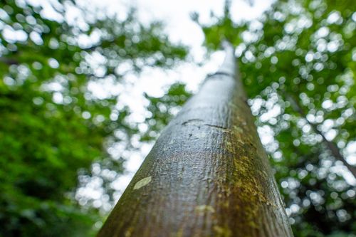 Free rainy bark Stock Photo