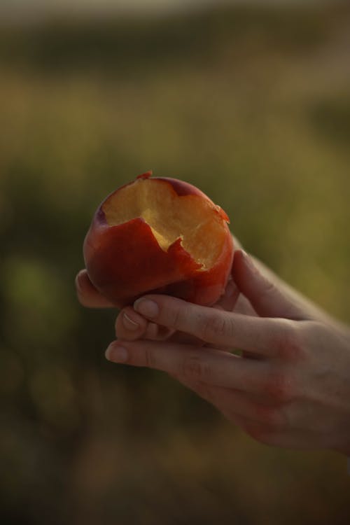 Person Eating Peach