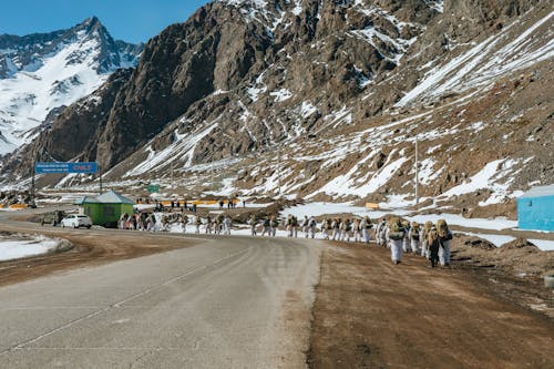 눈, 도로, 등산객의 무료 스톡 사진