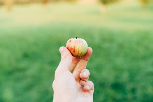 A hand holds a small apple against a lush green outdoor background, symbolizing freshness.