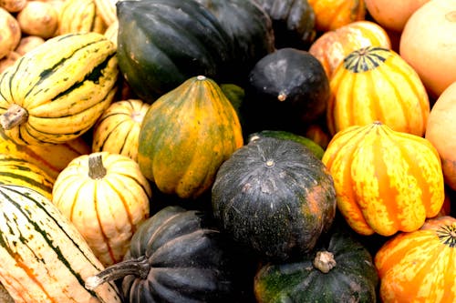 Close up of Pumpkins 