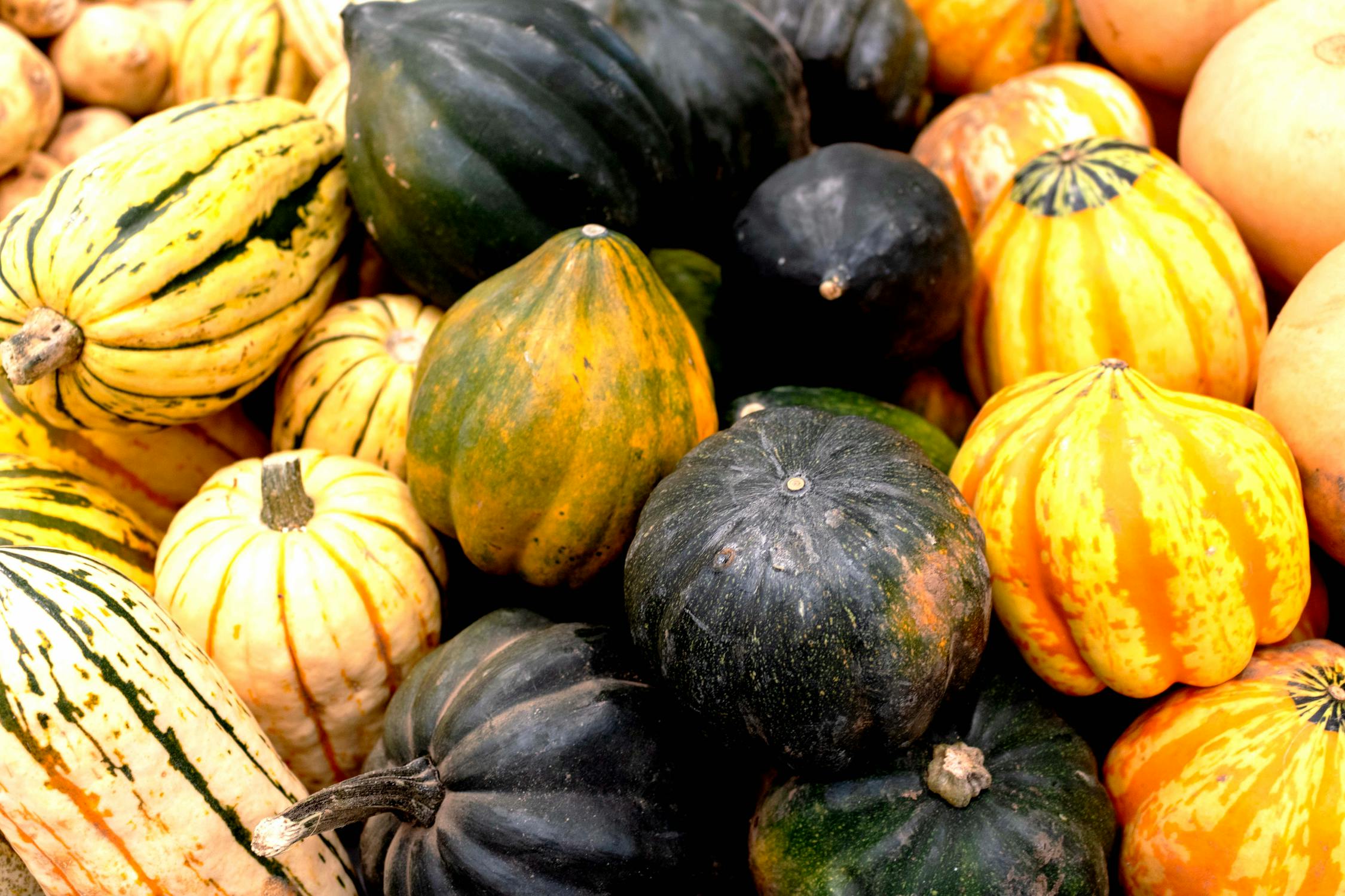 acorn squash as a source of non dairy calcium