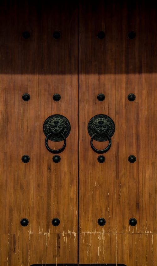 Old Wooden Door with Ornamented Metal Knockers