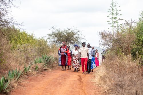 Free A diverse group of people walking along a rural dirt road surrounded by trees and bushes. Stock Photo