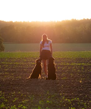 A woman stands with two dogs at sunset in a verdant field, creating a serene countryside scene.