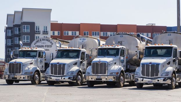 Four parked semitrailer trucks in an industrial yard with grain reservoirs, under clear skies.