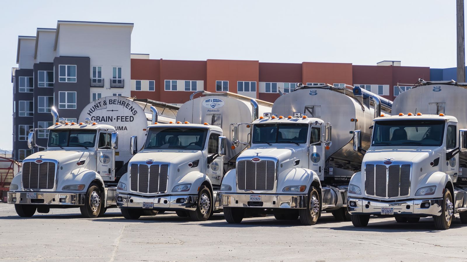 Several semi trucks parked in an industrial yard