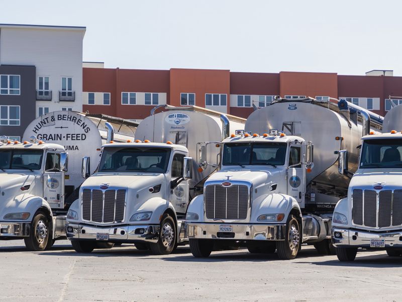 Row of commercial trucks parked in a yard