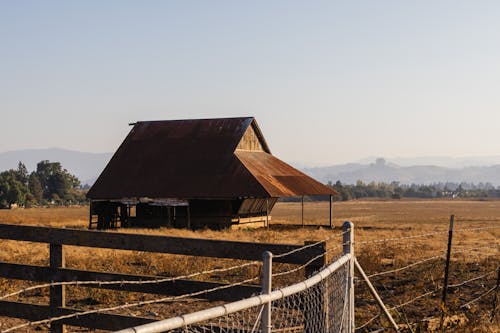 Shed in Farm