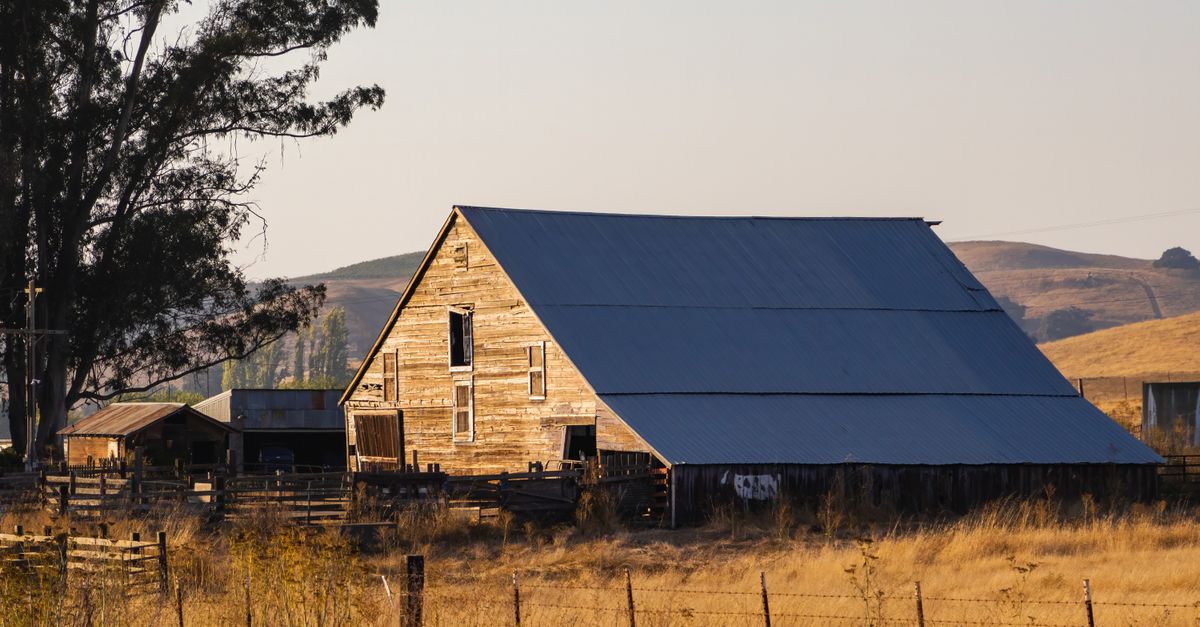 A wooden barn stands amidst a serene rural landscape, surrounded by fields and trees at dusk.