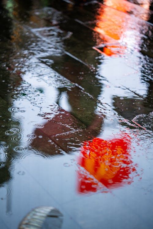 Neon Reflecting in Wet Sidewalk during Rain