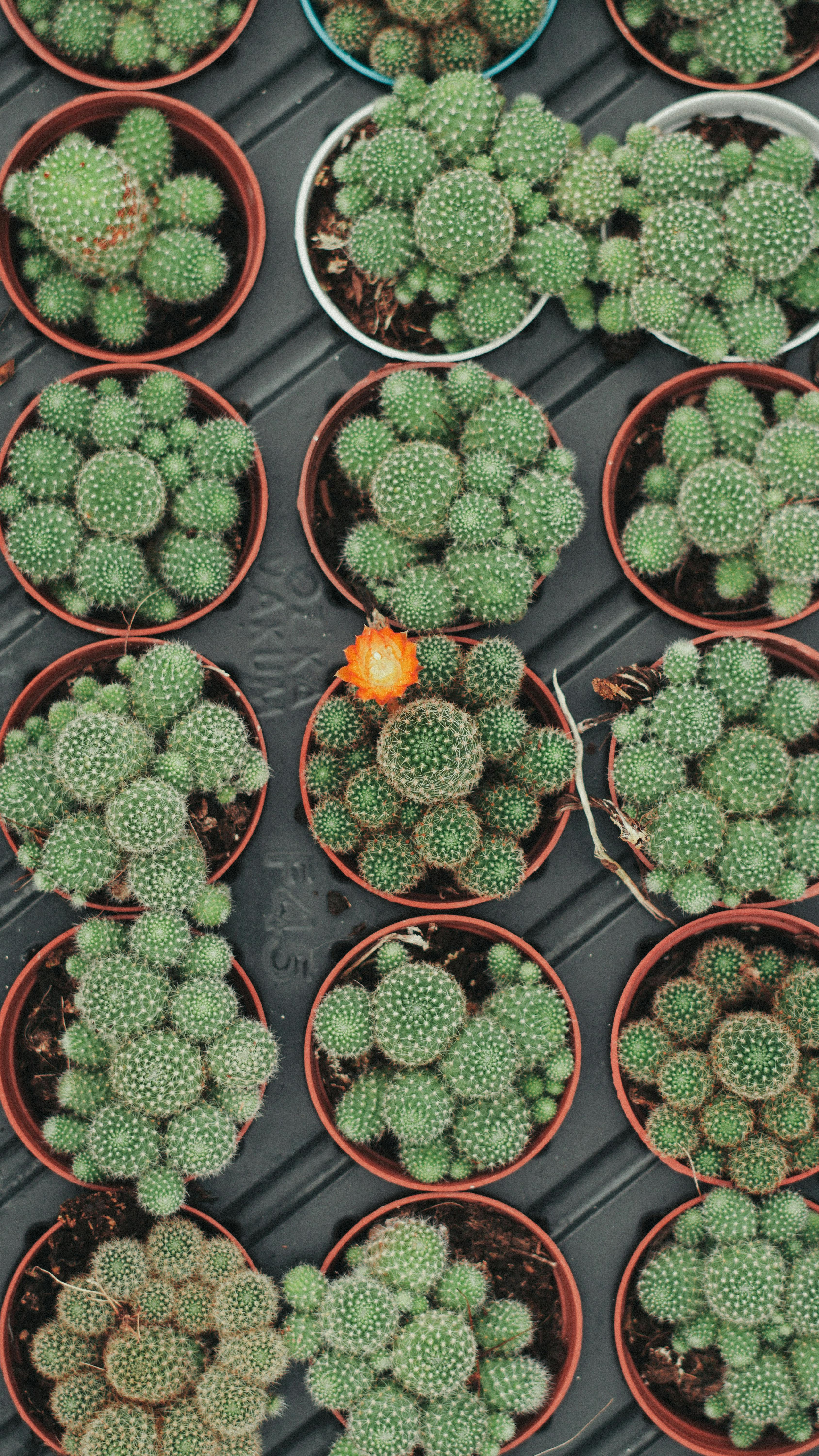 Where to Get Citations Locally: Where Should I Get Local Citations? Here are the Top 10 Places