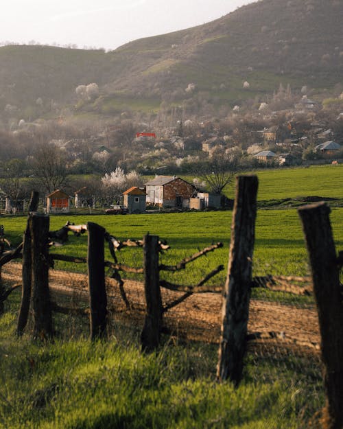 Δωρεάν στοκ φωτογραφιών με γήπεδο, εξοχή, κατακόρυφη λήψη