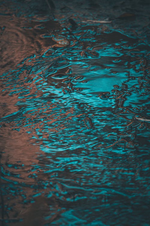 Puddle Texture in Close-up View