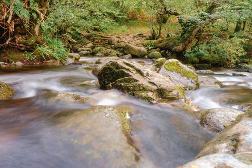 Free Tranquil creek flowing through lush forest in Penrith, captured with a long exposure. Stock Photo