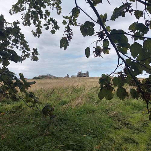 Free stock photo of england, north yorkshire, whitby Stock Photo