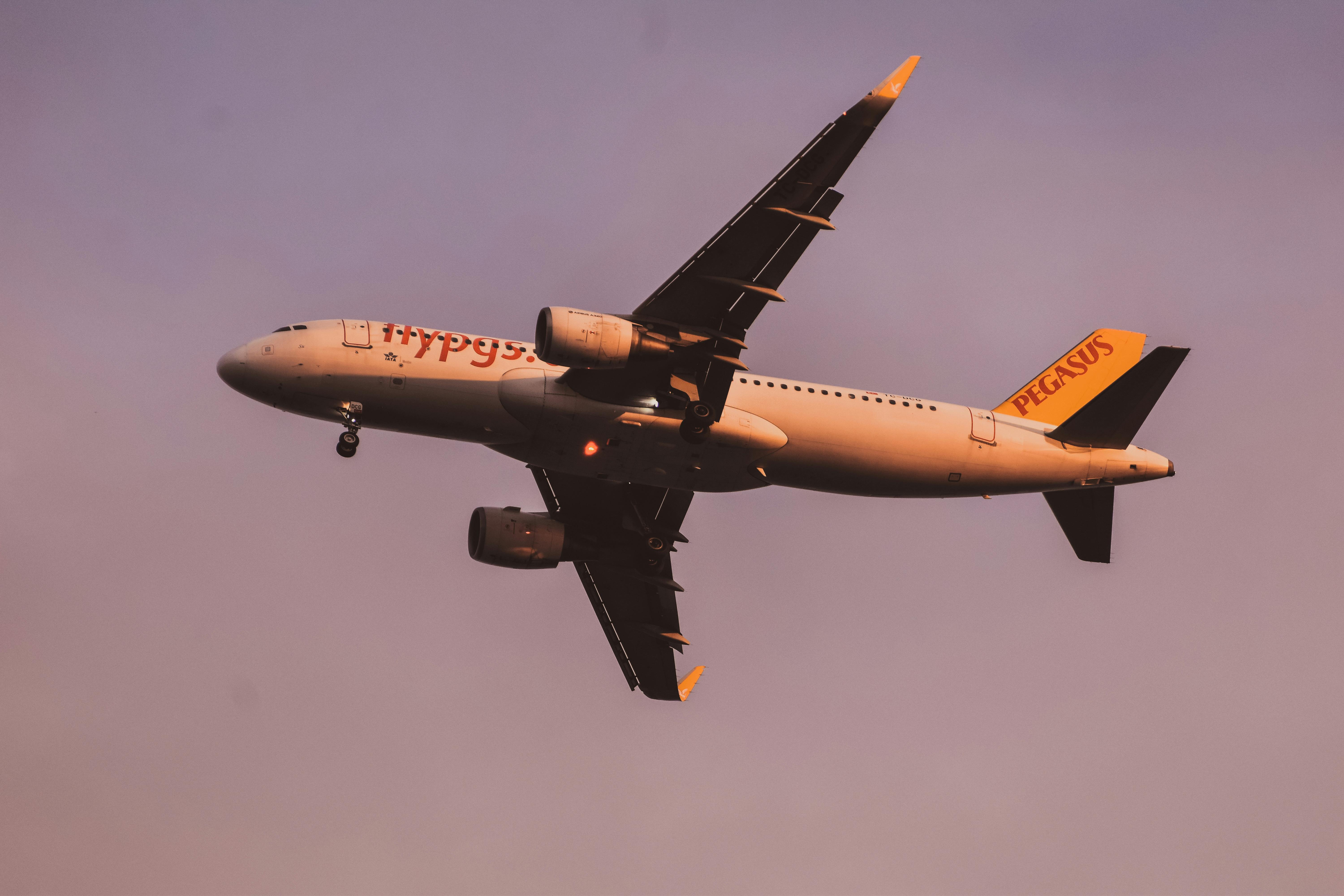An airplane from Pegasus Airlines in mid-flight with a sunset backdrop.