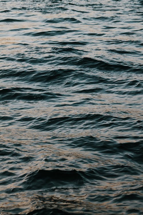 Close-up of the Sea Surface 