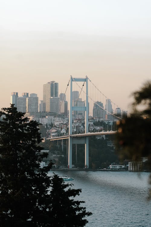 dikey atış, gökdelen, gökdelenler içeren Ücretsiz stok fotoğraf