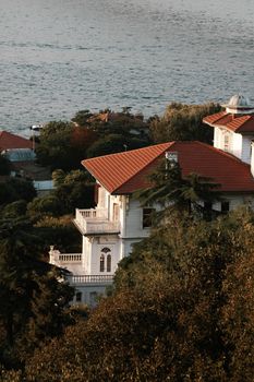 Scenic view of a picturesque seaside villa with red roofs nestled among lush greenery.