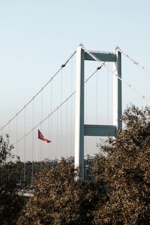 Gratis stockfoto met bomen, brug, bruggen