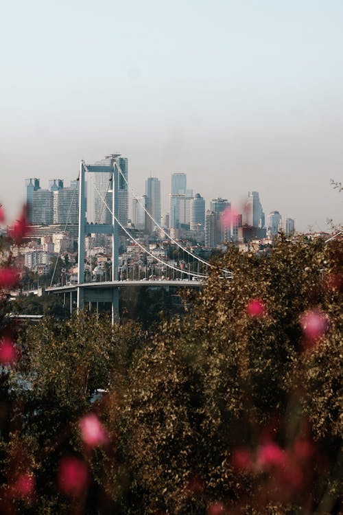 dikey atış, gökdelen, gökdelenler içeren Ücretsiz stok fotoğraf