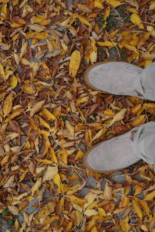 Autumn Leaves around Shoes of Standing Person
