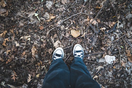 Legs of Person Standing on Ground in Autumn