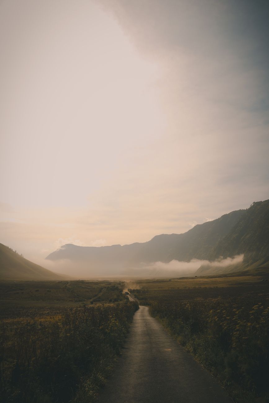 Explore a misty mountain valley under a soft morning light with a winding road ahead.