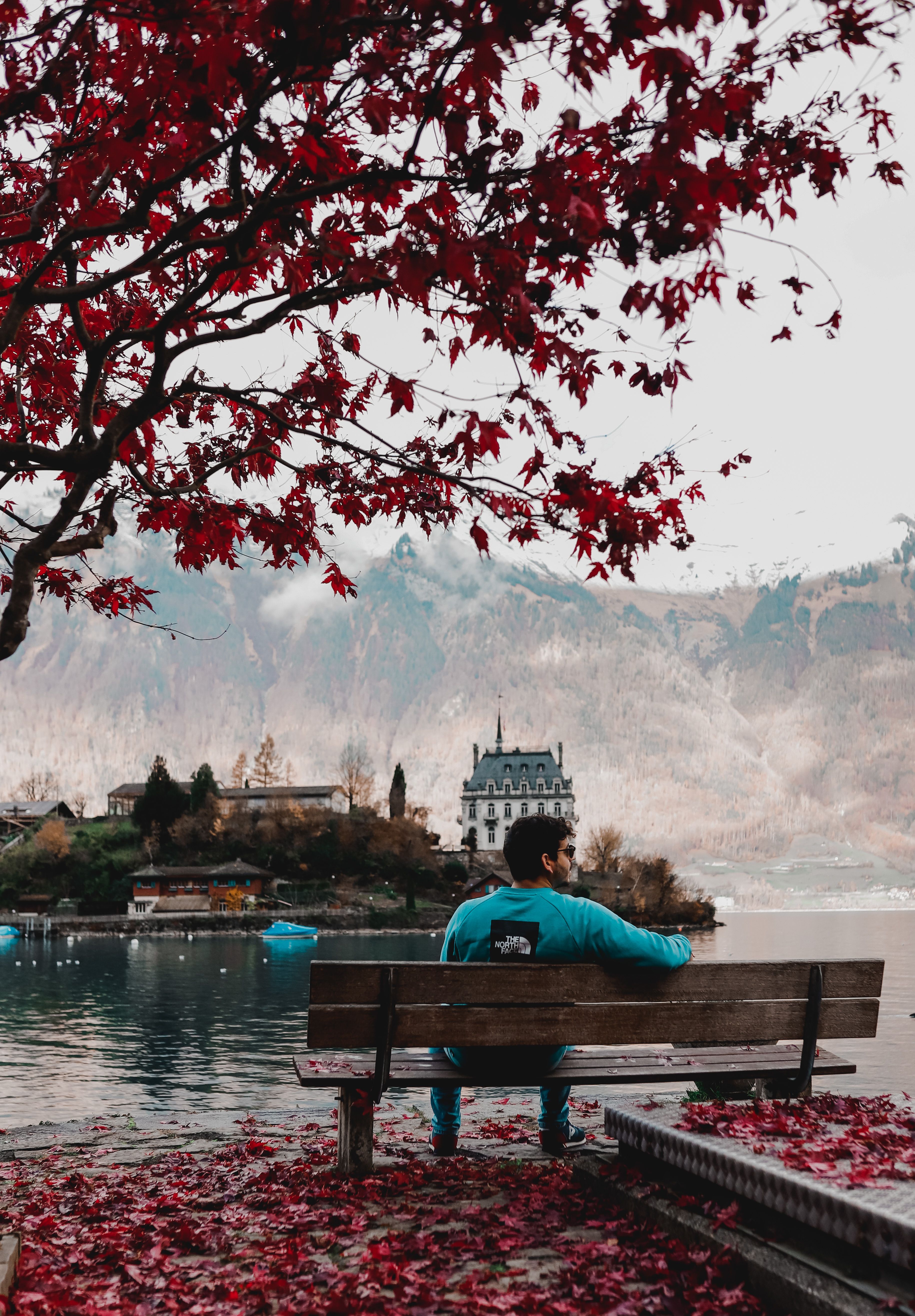 Man sitting on a bench in a tranquil lakeside park during fall, surrounded by vibrant red leaves.