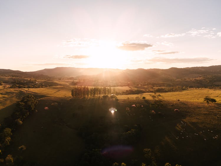 Rural Landscape At Sunrise