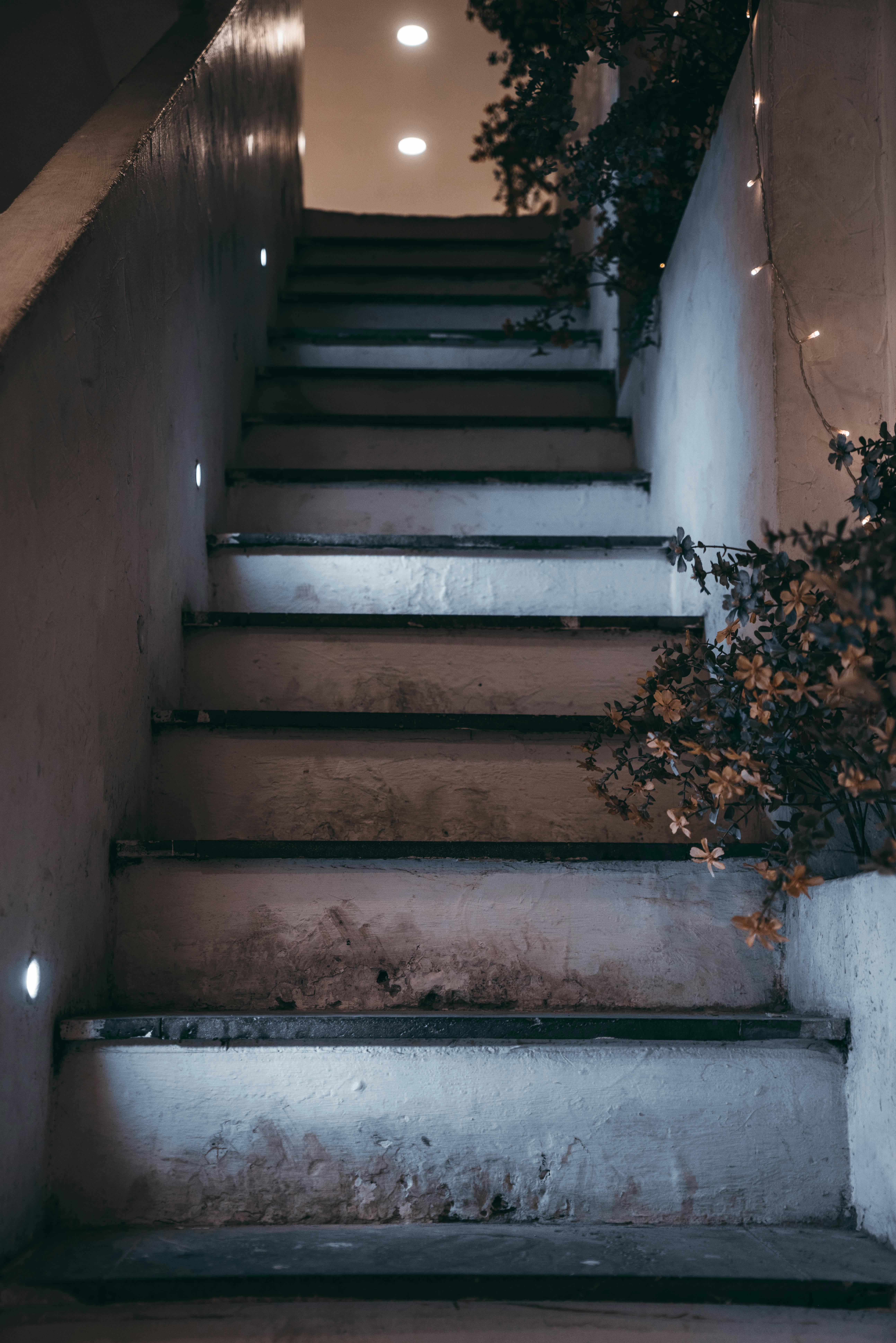 Image Name Stone steps with built-in LED lights glowing softly at night