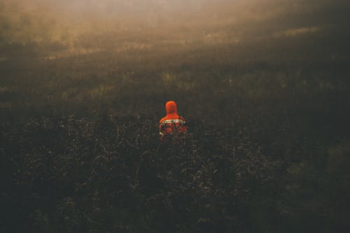 A Person Standing in the Middle of a Field