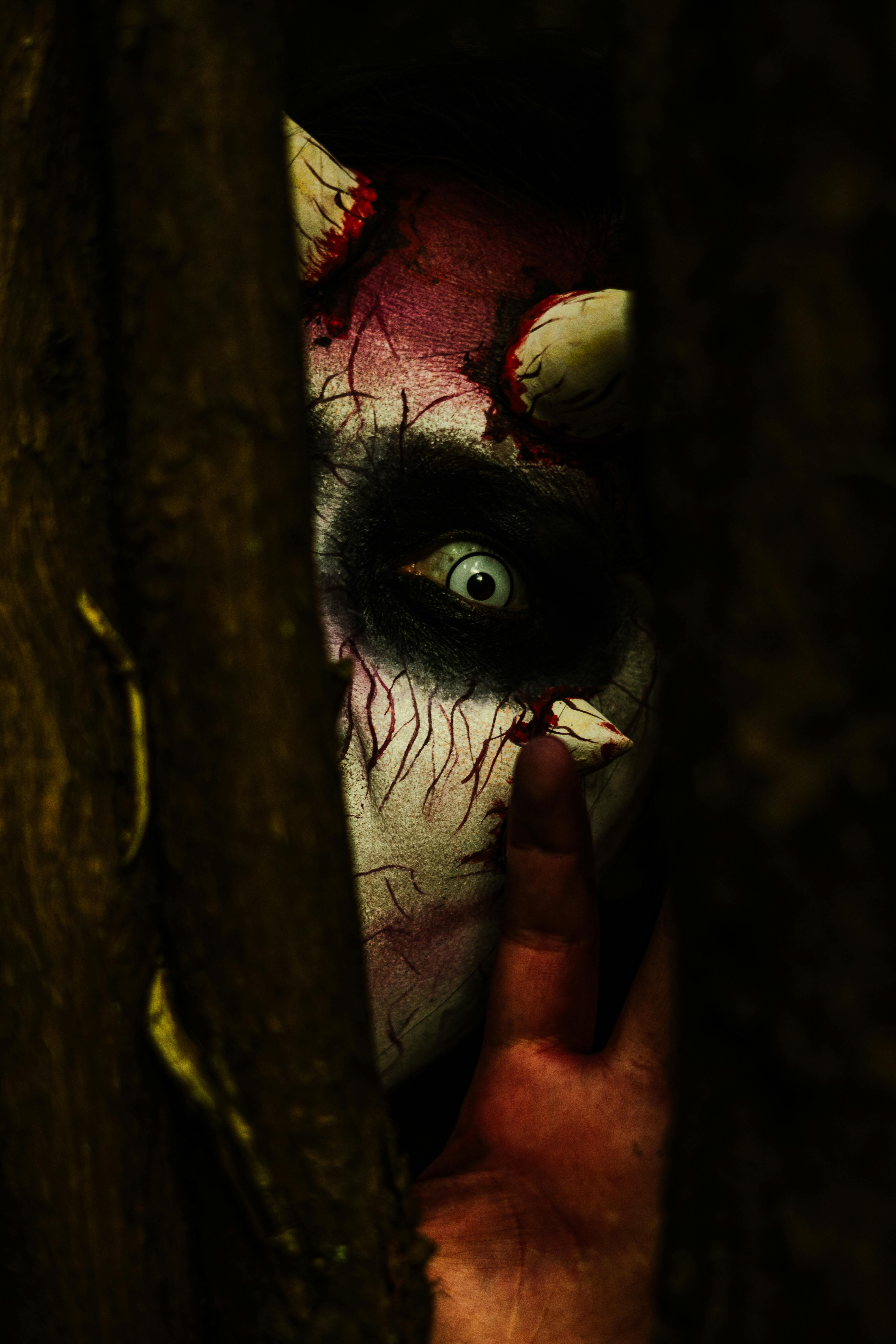 grátis Foto profissional grátis de ameaçador, América do Norte, angústia Foto profissional