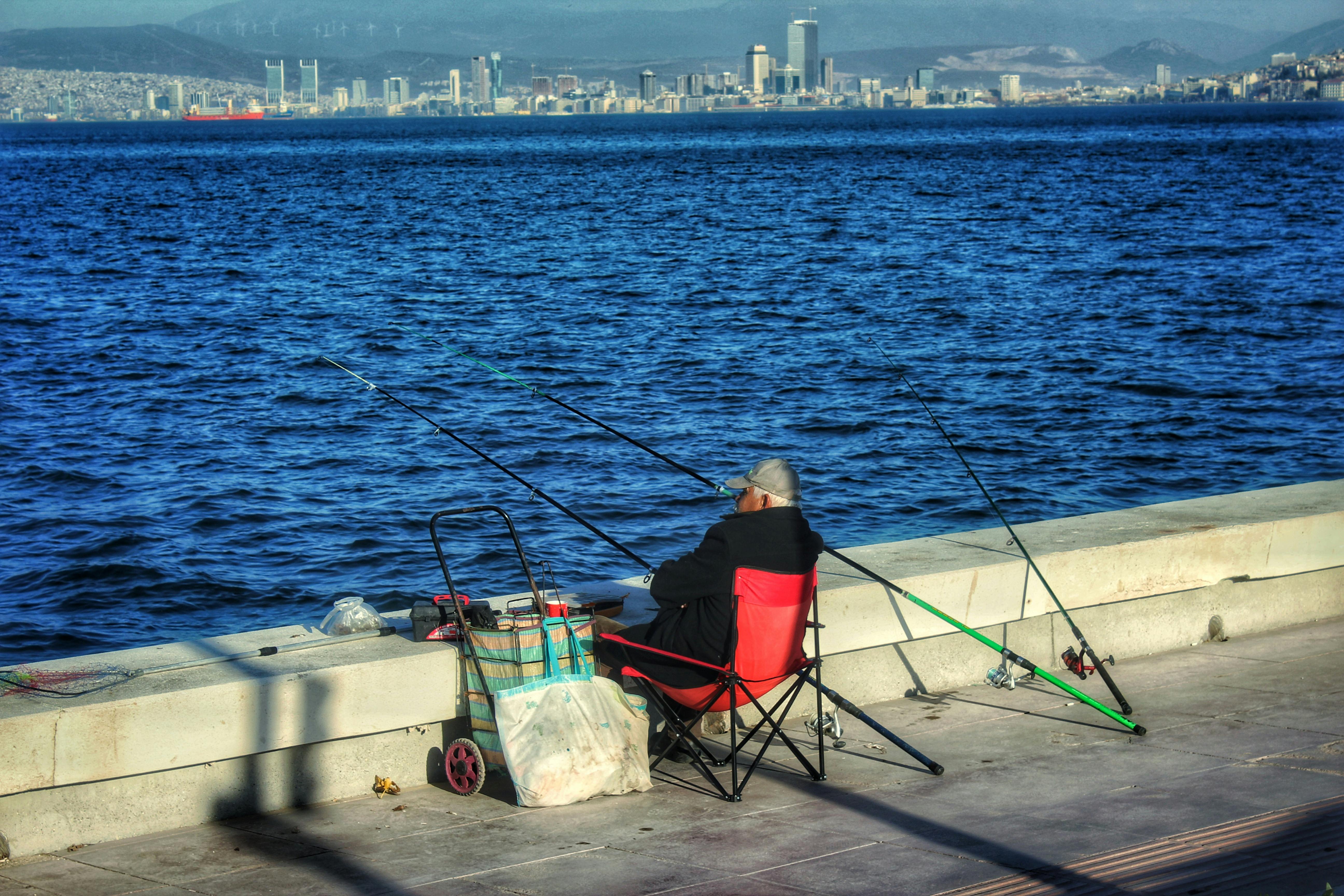 Angler with Few Fishing Rods in City Bay · Free Stock Photo