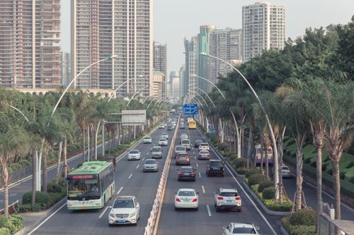 Free A bustling city street with traffic surrounded by skyscrapers and palm trees. Stock Photo