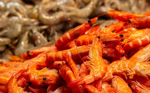 免费 刺龙虾, 可口的, 大虾 的 免费素材图片 素材图片