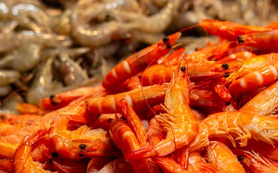 A close up of shrimp and other seafood
