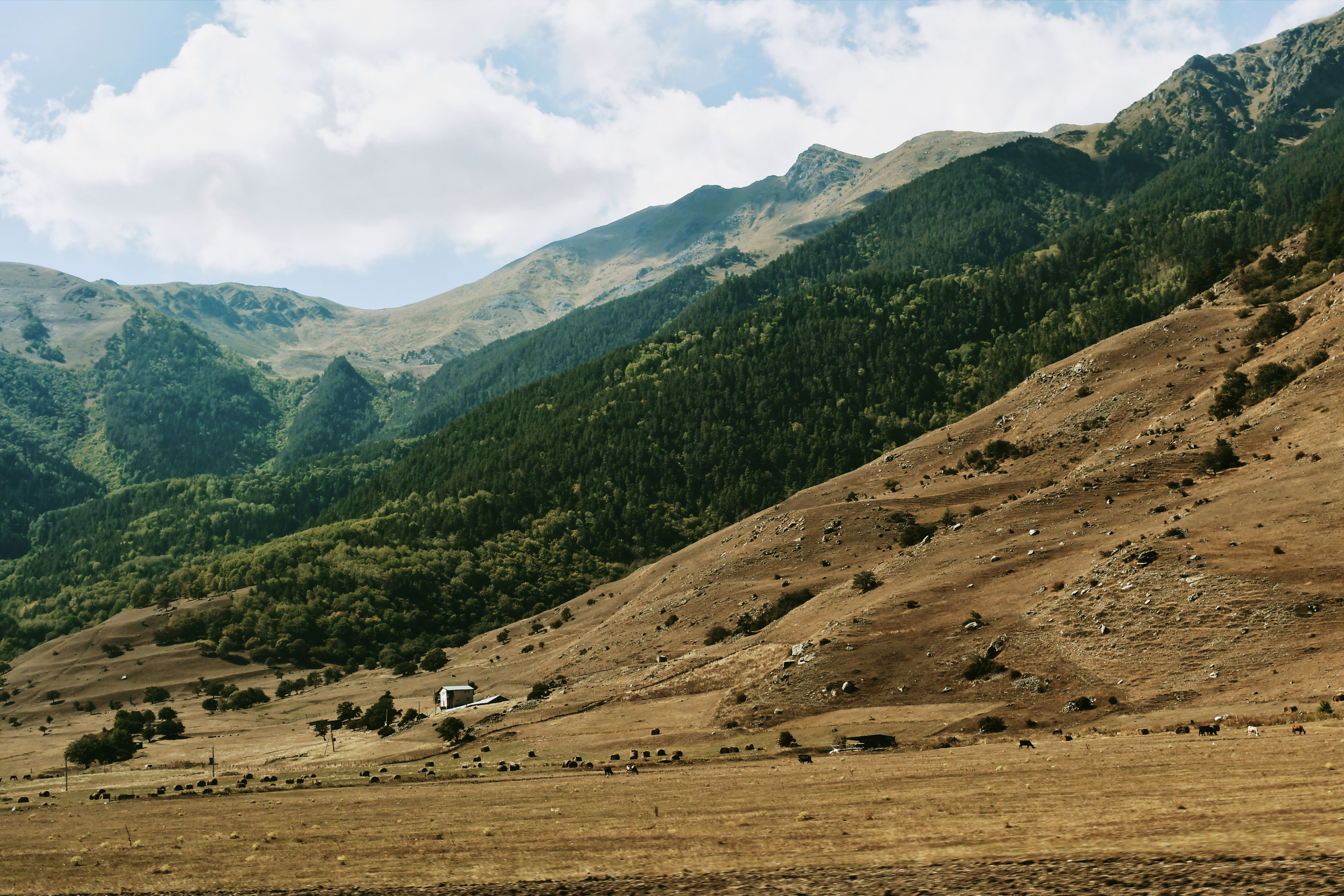 Temperate Grasslands Photos, Download The BEST Free Temperate ...