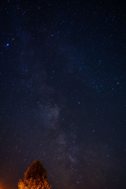 Free A breathtaking view of the Milky Way on a clear night sky above a solitary tree. Stock Photo