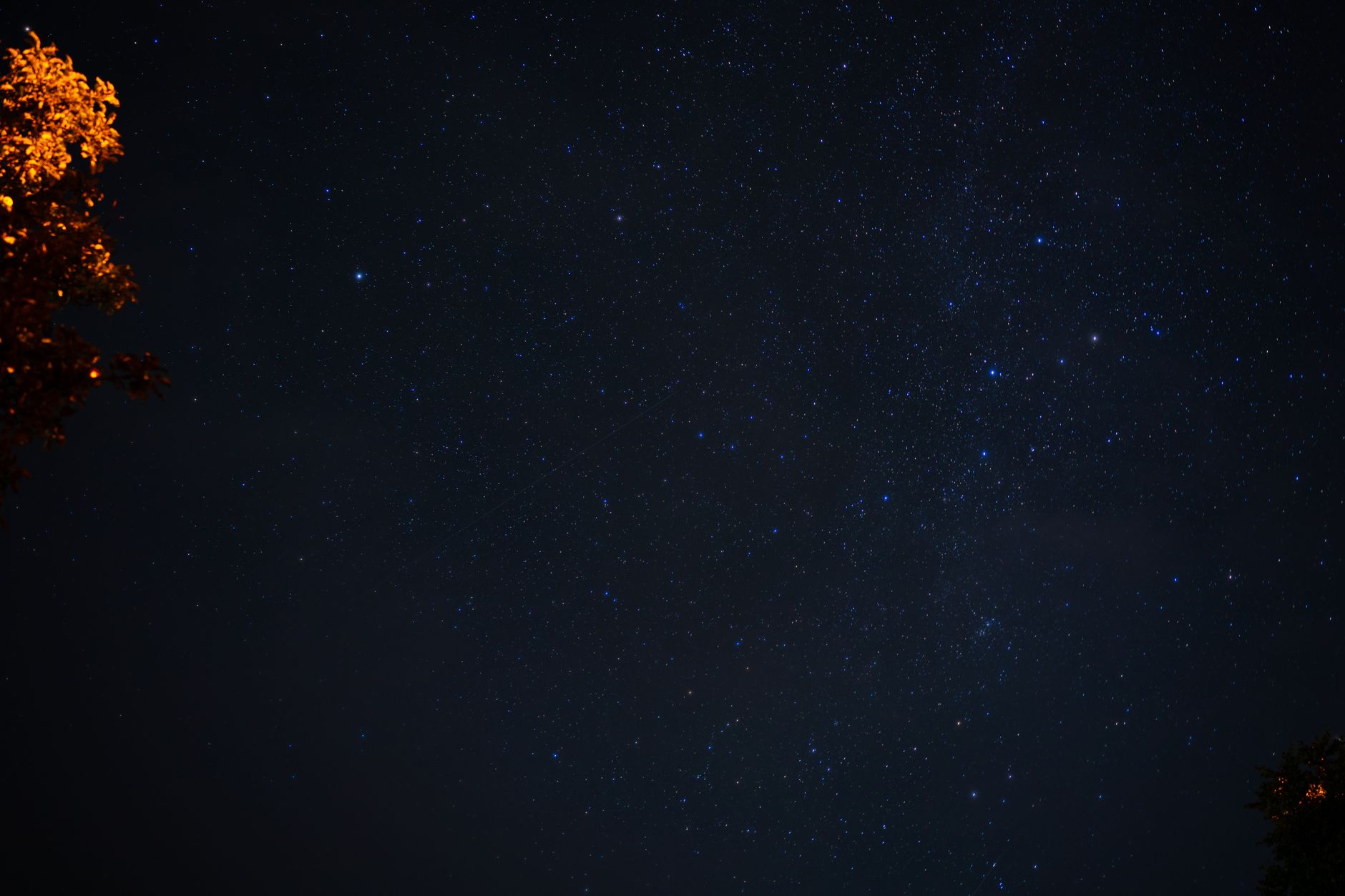 A serene star-filled night sky with tree silhouettes and minimal light pollution.