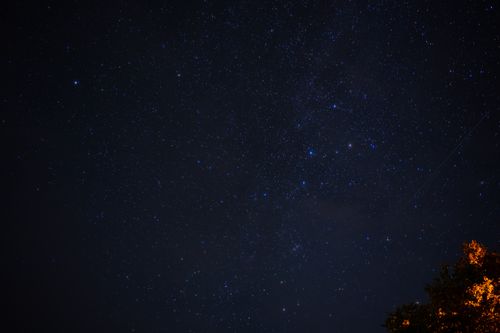 Free A beautiful clear night sky filled with stars and a shooting star over silhouetted trees. Stock Photo