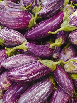 Eggplant — Aubergine