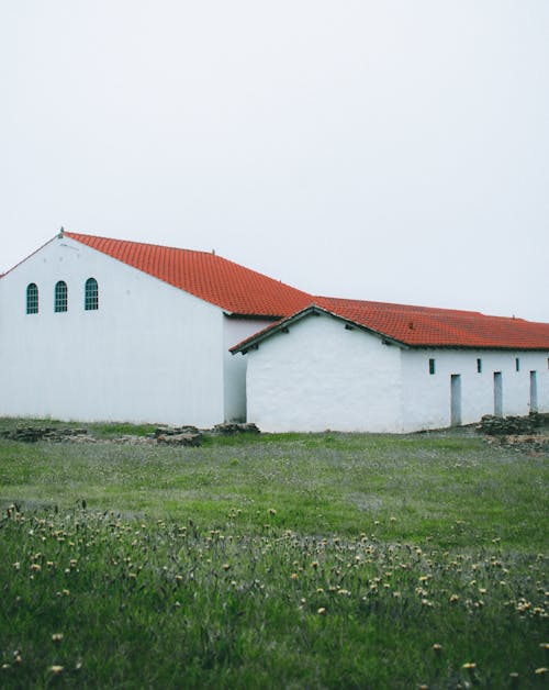 Kostnadsfri bild av äng, blommor, by