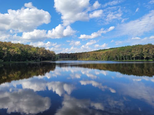 Scenic View of Clouds Reflected in the Lake and a Forest on the Lakeshore 