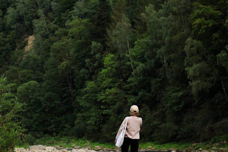 Back View Of A Woman Walking In Mountains 