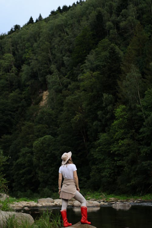 Imagine de stoc gratuită din agrement, arbori, aventură